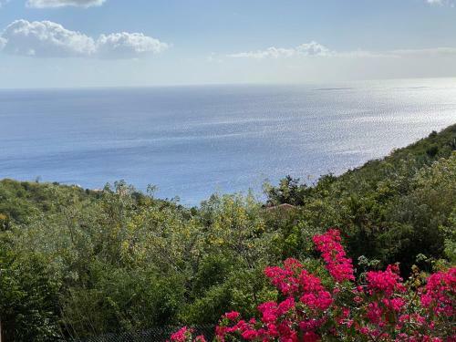 Apartamento Morne Aux Vents