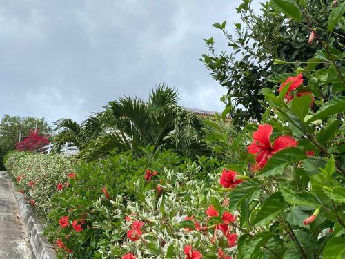 Apartamento Morne Aux Vents