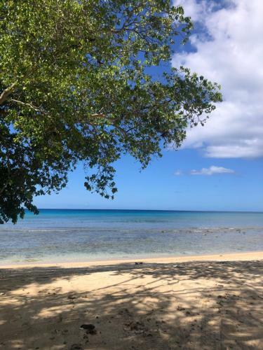 Apartamento Restorations Tobago