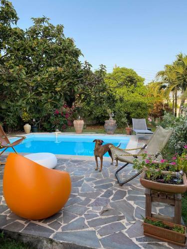 Apartamento Studio Des Perruches