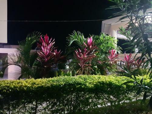 Hostal Cool Breeze Discovery Bay