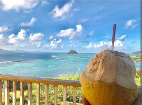 Lagoon View