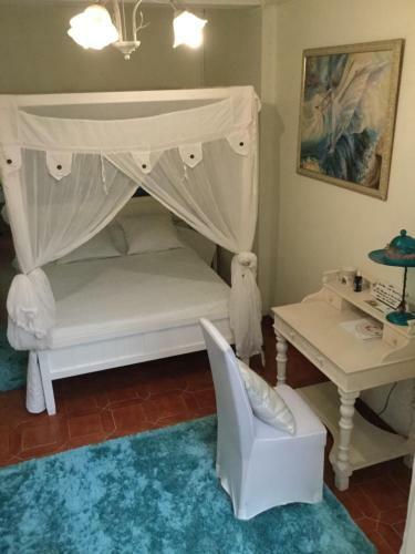 Hostal Racoon Lodge