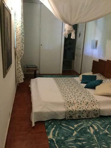 Hostal Racoon Lodge