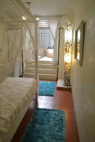 Hostal Racoon Lodge
