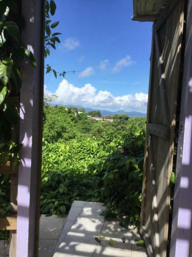 Hostal Racoon Lodge