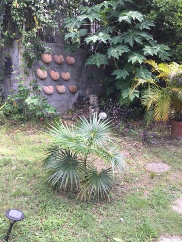 Hostal Racoon Lodge