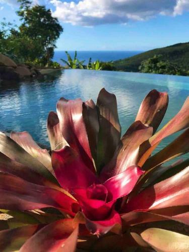 Villa Habitation Melipone �colodge Vue Mer, Piscine Spa