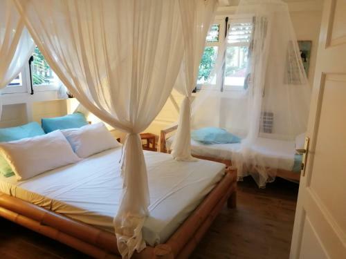 Blue Kaz Cara�b