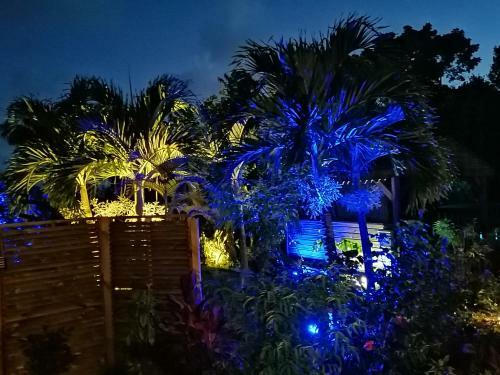 Blue Kaz Cara�b
