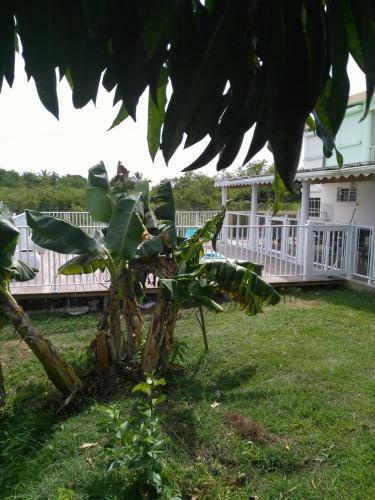 Villa Orchid�a