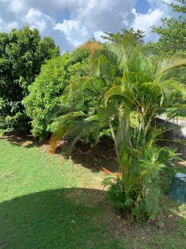 Apartamento Habitation � Fruit � Pain