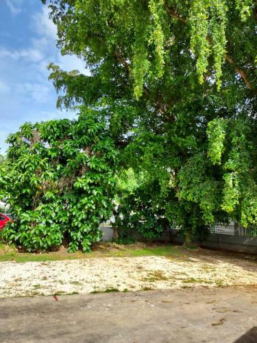 Apartamento Confort Y Relajacion Apto 5
