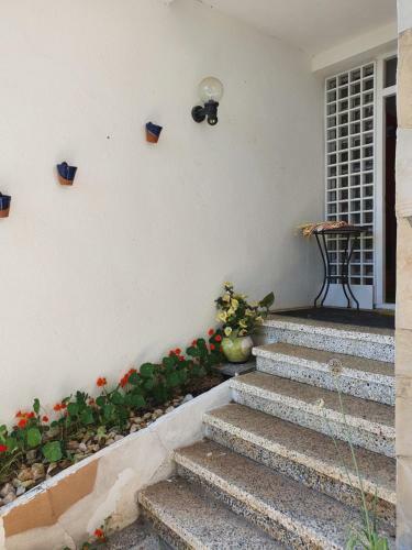 Casita Stella I