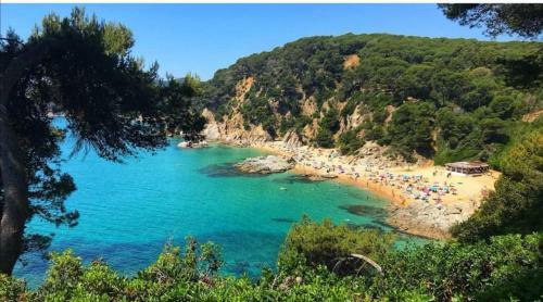 Apartamentos Beach&pool, 365 Days Open In Fenals Beach