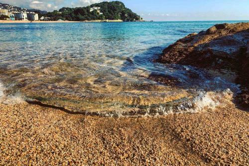 Apartamento Con Piscina Lloret De Mar