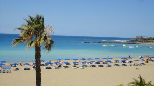Los Cristianos Dinastia Apartments