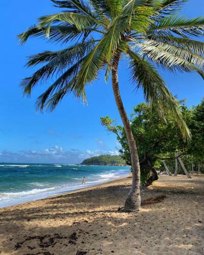 Apartamento R�sidence de La Baie 2 - Bleu Soleil Tartane