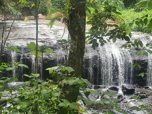 Apartamento Charmant Studio En Martinique � Tartane Le Ti-anolis