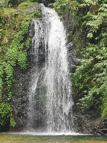 Apartamento Charmant Studio En Martinique � Tartane Le Ti-anolis