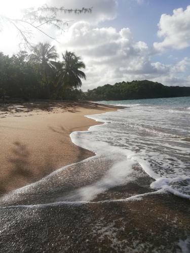 Apartamento Ginger & Sun - R�sidence De La Baie