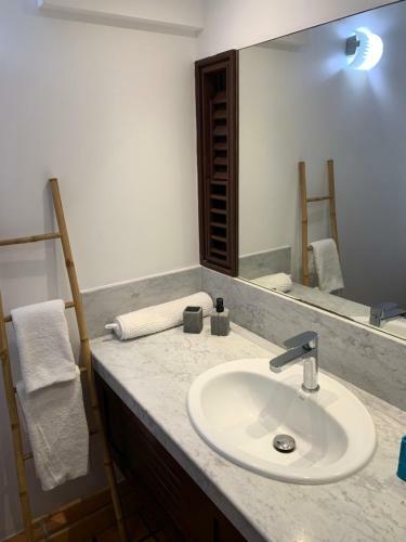 Apartamento Studio Green Jungle
