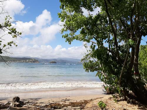 Apartamento Studio Dans R�sidence Avec Piscine, Vue Mer