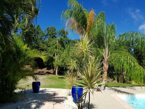 Blue Paradise