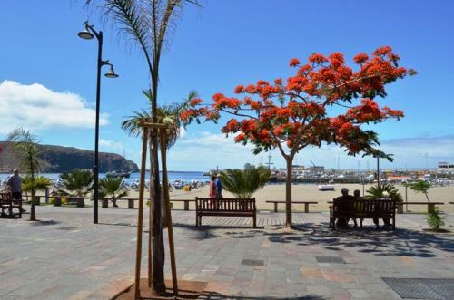 Apartamento Emma - Los Cristianos