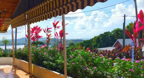 Hostal Endroit Cosy Et Chaleureux