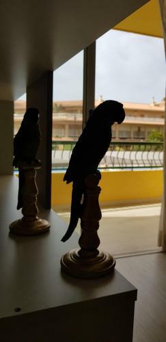 Apartamento Playa Las Vistas Loft