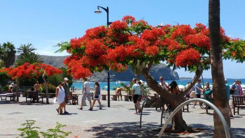 Playa De Los Cristianos Casa Adriano
