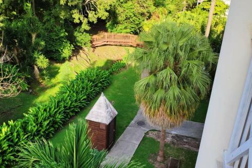 Apartamento Le Cocotier Des Aliz�s