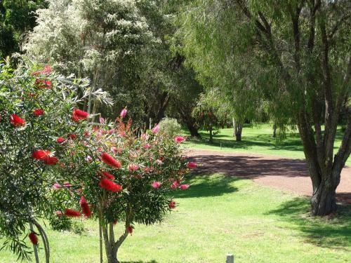 Bed & Breakfast Pinda Lodge