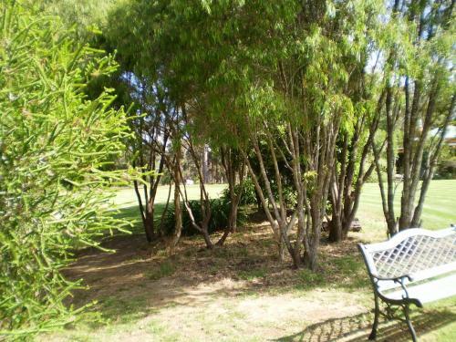 Bed & Breakfast Pinda Lodge