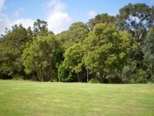 Bed & Breakfast Pinda Lodge
