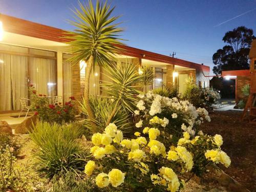 Motel Econo Lodge Statesman Ararat