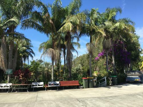 Palms Oasis Motel