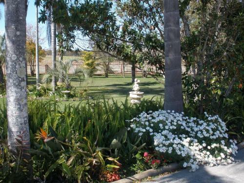 Palms Oasis Motel
