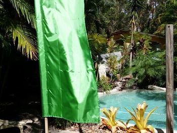 Bed & Breakfast Alaya Escape