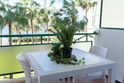 Apartamento Comodoro Cristianos Beach
