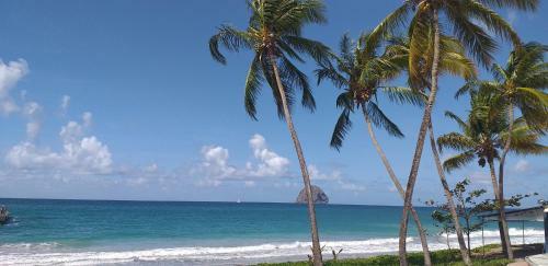 Apartamento Studio Evasion Tropicale Diamant