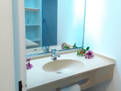 Apartamento Jolie Studio Vue Mer