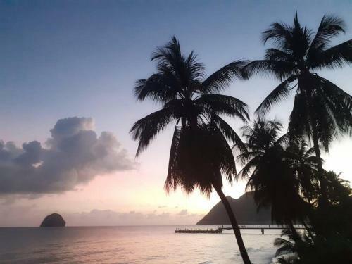 Apartamento Superbe Studio, � 20 M�tres de La Plage, Acc�s Direct Grande Plage Diamant