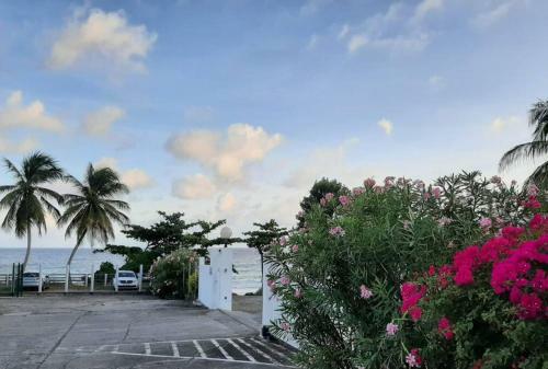 Apartamento Superbe Studio, � 20 M�tres de La Plage, Acc�s Direct Grande Plage Diamant