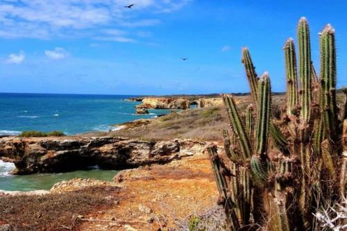 Apartamento Trankilandia Studio