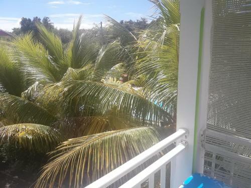 Apartamento Coin Tranquille