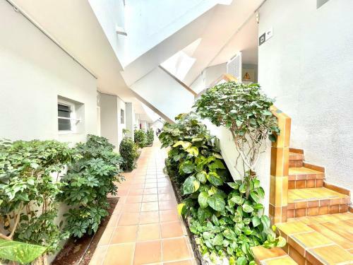 Apartamento Con Balcon, Piscina, Cerca Playa En Tenerife Sur