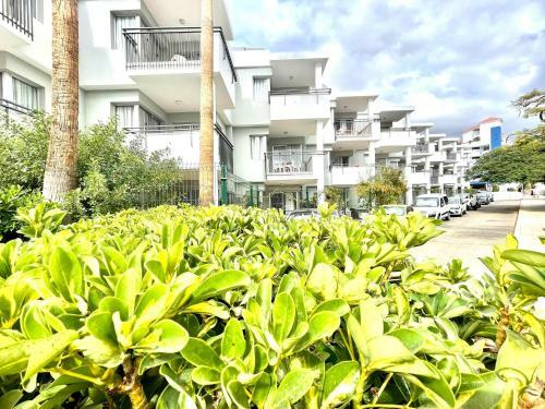 Apartamento Con Balcon, Piscina, Cerca Playa En Tenerife Sur