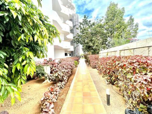 Apartamento Con Balcon, Piscina, Cerca Playa En Tenerife Sur